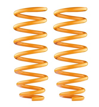 Rear Performance Coil Springs to suit Landcruiser Bundera 1984-1989