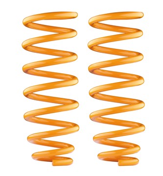 Land Rover Discovery Series 2 1999-2005 Rear Performance Coil Springs
