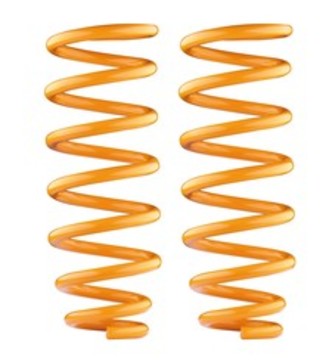 Navara NP300 (Coil) Rear Extra Constant Load Coil Springs
