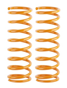 Rear Performance Coil Springs (6